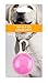Friends Forever LED Dog Collar Light - Clip On LED Dog Light Dog Tag Light for Pet Dogs Cats Night Walking (5 Pack)