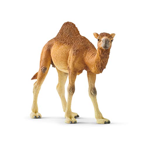 schleich WILD LIFE | Dromedar 14832 | detailgetreue Tierfiguren | Zoo Spielzeug | ideales Geschenk für Jungen und Mädchen | Deko für Geburtstag | Spielfigur ab 3 Jahren | 14 x 4 x 10 cm