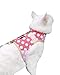 Yizhi Miaow Cat Harness and Leash for Walking Escape Proof, Adjustable Cat Vest Harness, Padded Stylish Cat Walking Jackets, Polka Dot Pink, X-Small