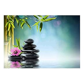 Rocks and a Pink Flower on a Lake...