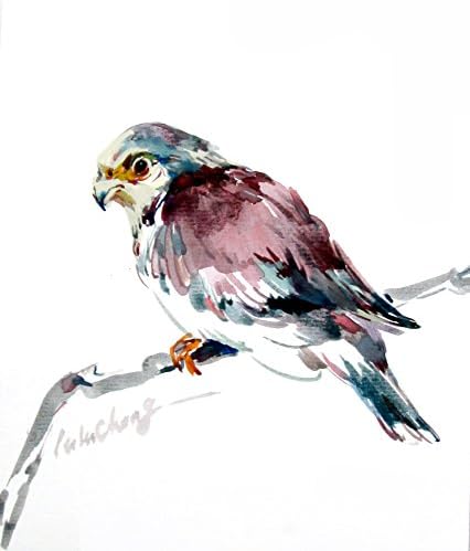 Original eagle painting Watercolour eagle painting Handmade eagle painting Asian bird painting Eagle painting