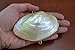 Pearlized River Sea Shell Trinket Box Purse