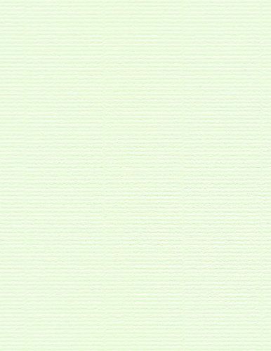 111lb Card Stock 8 1/2 x 11 - Vice Versa Menta, 50 pack