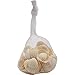 Seashells Mixed Bag of 200 Assorted Piece Bulk Pack for Home Kitchen Offices Indoors and Outdoors Wedding Baby Shower Birthday Summer Beach Nautical Theme Kids Party Favor Craft Supplies Décor