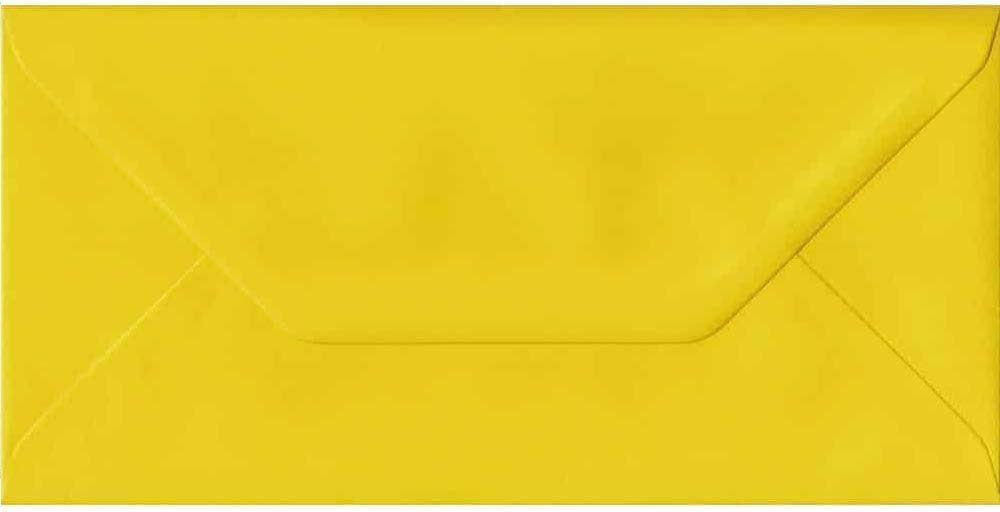 DL (110mm x 220mm) Coloured Envelopes Perfect for Christmas Cards, Greeting Cards, Wedding/Party Invitations, Crafts and Many More - Pack of 12 (Daffodil Yellow)