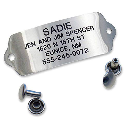 Rivet-On Pet ID Tag, Silent, Personalized and Customized Dog ID Tag That Rivets Directly onto Collar, Mirror Finish Stainless Steel, Size: Large