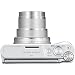 Canon PowerShot SX730 HS Digital Camera (Silver) – 11pc Bundle Includes 16GB SD Card + 2 Extra Battery + 8″ Gripster + Point & Shoot Case + Morethumb 3