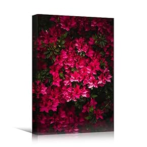 signwin Canvas Wall Art Pink Petals Colorful Farmhouse/Country...