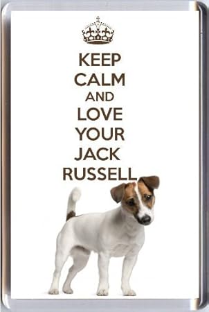 dragonheart jack russell