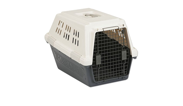 labradoodle crate