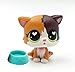 LPSOLD LPS Shorthair Cat 5 Heart Eyes Kitty Kitten with Accessories Action Cartoon Figure Collection Boy Girl Kid Gift (lps cat 5)
