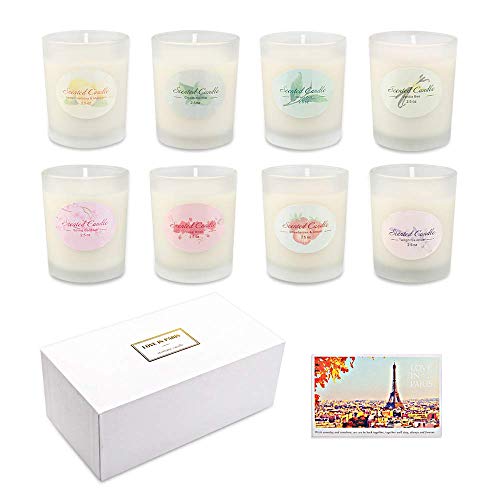 YINUO LIGHT Scented Candles Gifts Set for Women, 8 x 2.5 Oz Portable Glass Soy Candles with Strongly Fragrance Essential Oils for Stress Relief and Aromatherapy