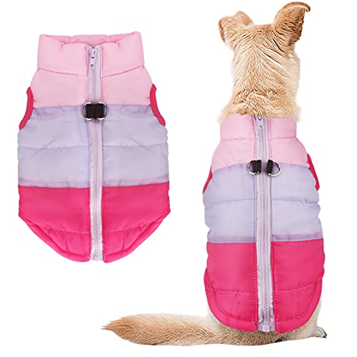 Idepet Leash Anchor Puppy Coat