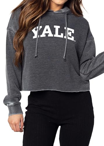 chicka-d Women's Relaxed Dropped Shoulder Cropped Fleece Hoodie NCAA Classic Ar…