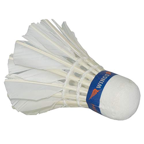 41t1Xb7oBSL.jpg