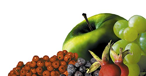 Erdtmanns Wild Bird Food PLUS Wilde vogelvoer plus, per stuk verpakt (1 x 800 g) - Afbeelding 5