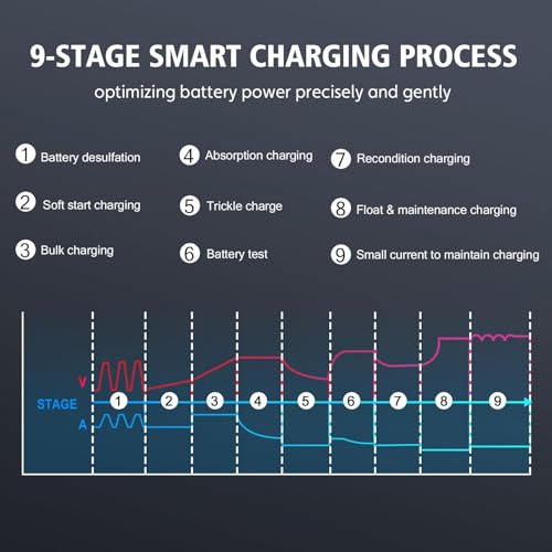 Haisito 12V/24V Smart Fast Battery Charger, 20A, LiFePO4 Lithium Lead Acid (AGM/Gel/SLA) for Cars, Boats, Motorcycles, 240V Input