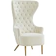 TOV Furniture Jezebel 19.7" Modern Velvet Wingback Chair in Cream