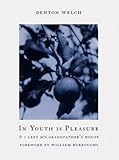 Front cover for the book In Youth Is Pleasure by Denton Welch