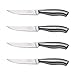 Chicago Cutlery Insignia Steel 4-Piece Steak Knives, 4.5