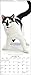 2018 Cats Wall Calendar