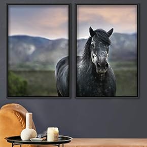 signwin 2 Piece Framed Canvas Wall Art Horse...