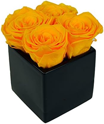Luxe Bloom Home Collection | 4 Daffodil Preserved Roses in a 3" Black Ceramic Cube Vase | Lasts 60 days | Perfect home decor accent or gift for Birthdays, Summer, Wedding Showers, or any occasion