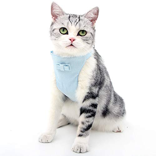 Kitten Harness and Leash Escape Proof for Walking Adjustable Neck Cat Collar Rabbits Puppy Kittens Soft Breathable Mesh Pet Vest (S, Blue)
