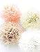 Vidal Crafts 20 Pcs Tissue Paper Pom Poms Kit, 14