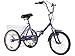 MOPHOTO Adult Folding Bike Tricycle 7 Speed 20 Inch Three Wheel Bike Cruiser Trike with Low-Step Through Frame/Large Basket/Adjustable Seat (Purple, 7-Speed, 20″ Folding Tricycle)thumb 3