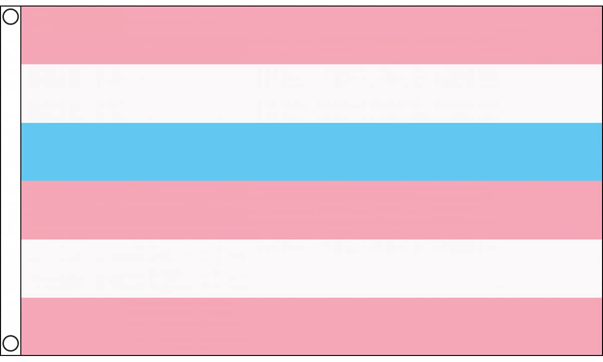 AZ FLAG - Intersex Pink And Blue Pride Flag - 3x5 Ft - 100D Polyester Intersexual - Intersexuality Banner with Two Metal Grommets - Fade Resistant - Vivid Colors - 3' x 5' Feet - 150x90 Cm — image 1