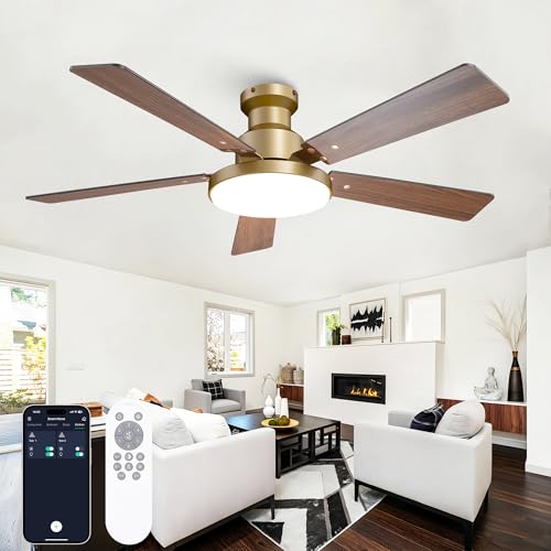 Vaczon 52 Inch Low Profile Ceiling Fan with Lights