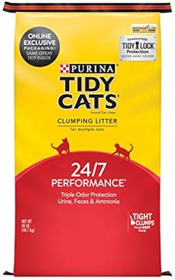 bulldog in black colour