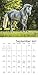 Muhammad Ali 2018 Calendar