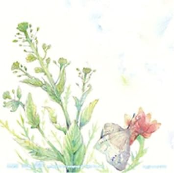 雨の海 Cd やなぎなぎ Amazon Co Jp