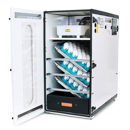 Classic GQF Model 1202A Sportsman Cabinet Style Egg Incubator