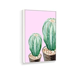 Potted Cacti Pink Background - Framed Canvas