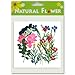 Pressed Flower, 2 Packs of Mixed Flowers. Art & Craft Materials