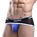 Binmer(TM)Mens Sexy Breathe Underwear Briefs Bulge Pouch Shorts Triangle Underpants (L, blue)