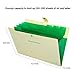 SKYDUE Expanding File Folders with Pockets, Accordion File Organizer Document Letter Size, 8 Pockets (Beige)