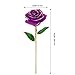 OUTAD Rose Flower, Best Gift for Valentine's Day, Mother's Day, Anniversary, Birthday Gift, Gift for Lover Mother Girlfriend, 24k Golden Plated Rose in Gift Box Purple