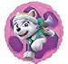 Girl Pups Paw Patrol Sky & Everest Party Supplies Bundle Pack for 16 guests (Bonus 17 Inch Balloon Plus Party Planning Checklist by Mikes Super Store)