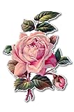 Vintage Rose Beautiful Vinyl Sticker - Car Window Bumper Laptop - SELECT SIZE