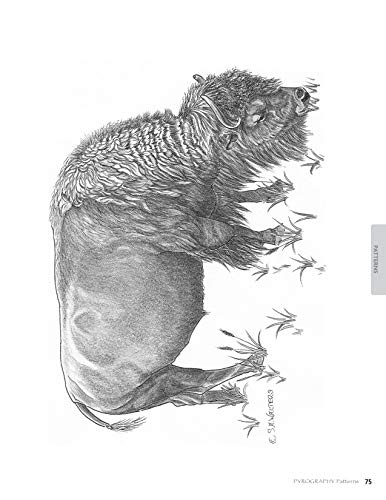 Pyrography Patterns: Basic Techniques and 30 Wildlife Designs for ...