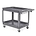 Goplus Plastic Service Cart Utility Storage Cart for All Purpose 550 LBS Capacity (2 Shelves 46
