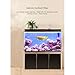 JAJALE 135 Gallon Aquarium Fish Tank LED Light Pump Freshwater Filter Upright Fishtank Stand Bundle Curved Clear Glass (Black)thumb 4