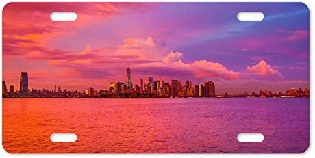 Metal License Plate Cover New York City Pink Sunset Aluminum License Plate 12" x 6"