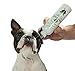 BotaniVet Ear Cleaner 8 Oz - 100% Natural Ingredients - Made with Certified Organic Oils and Silver - Veterinary Dermatologist Formulated for Dogs and Cats with Ear Problems