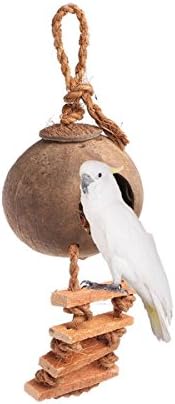 Petpuppy Naturals Coco Hideaway with Ladder Bird Toy 12 x 4.5 x 4.5 inches Decorative Bird Cages with Ladder