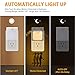 JOKBEN Plug-in Motion Sensor Night Light Adjustable Brightness LED Nightlight for Kitchen, Hallway, Stairway, Bathroom, Bedroom, 2-Pack Warm White